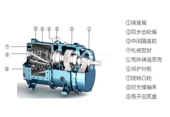 羅德轉(zhuǎn)子泵 羅德轉(zhuǎn)子泵