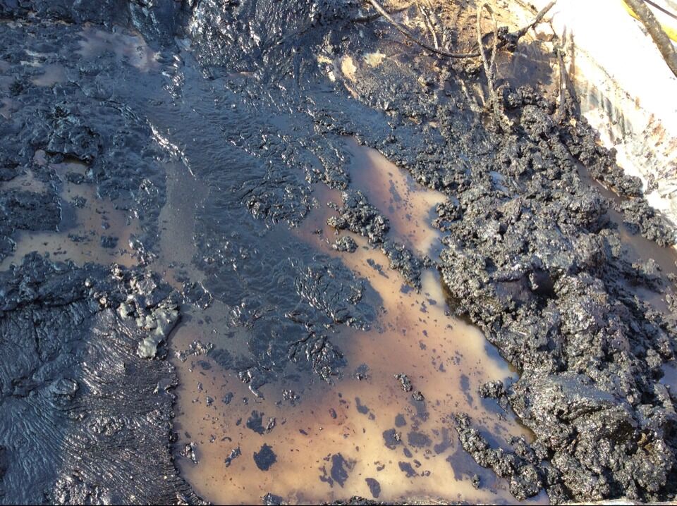 凸輪轉(zhuǎn)<a href='http://51java.cn' class='keys' title='點(diǎn)擊查看關(guān)于轉(zhuǎn)子泵的相關(guān)信息' target='_blank'>轉(zhuǎn)子泵</a>耐磨損耐腐蝕可以輸送含油污水等復(fù)雜成分介質(zhì)