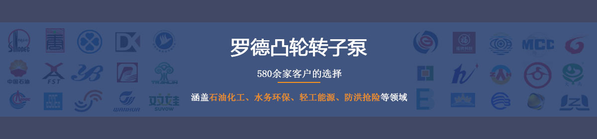 羅德凸輪轉(zhuǎn)子泵--德國品質(zhì)，中國價格